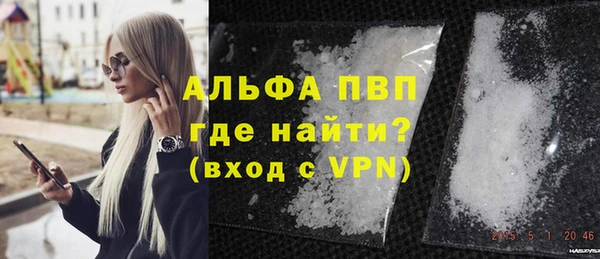 СК Алексин